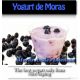 Yogurt de Moras Premium