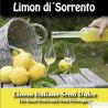 Lemon di´Sorrento Premium