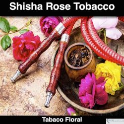 Shisha Rose Tobacco Ultra