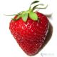 Strawberry Premium